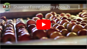 Shawnee Forest Country Apple Picking Season