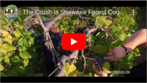 The crush in Shawnee Forest Country