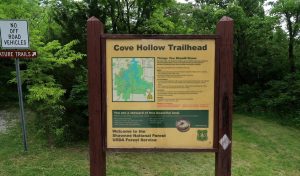 Cove Hollow