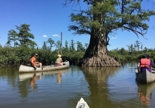 CACHE BAYOU OUTFITTERS3