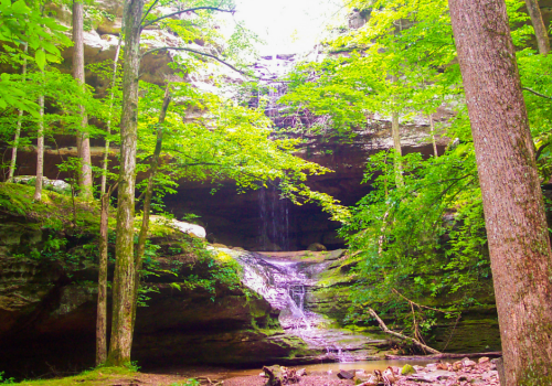 Ferne Clyffe State Park
