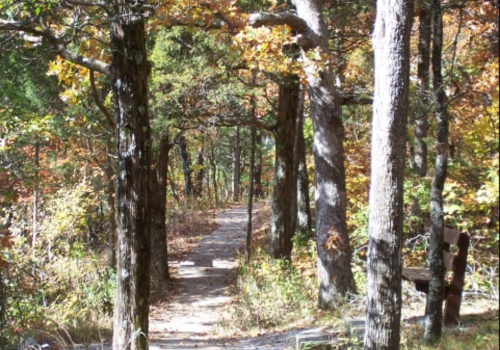Rim Rock Pounds Hollow