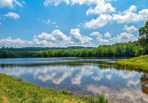 Lake murphysboro state park