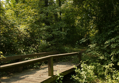Horseshoe Lake Conservation Area