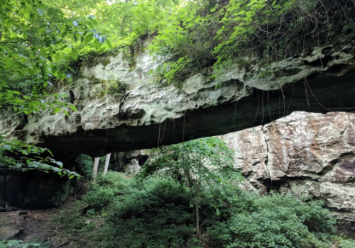 Pomona Natural Bridge