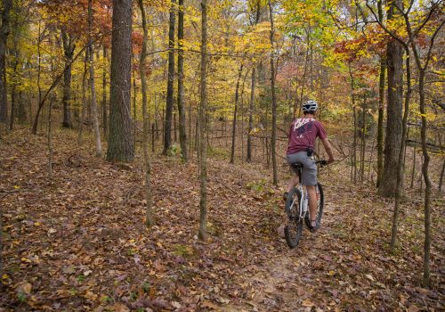 BikeTrail Fall