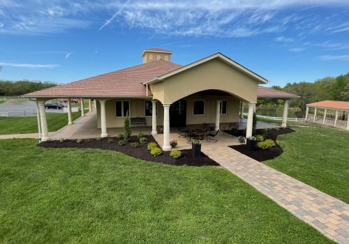 Clad & Cordon Vineyard