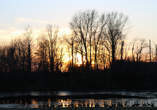 Saline County Conservation Area