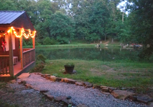 HUMMINGBIRD ROAD CABIN