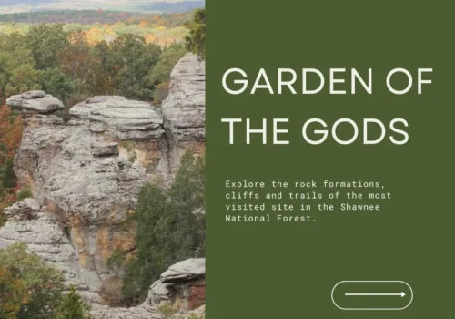 Illinois-Ozarks-rentals-768x768