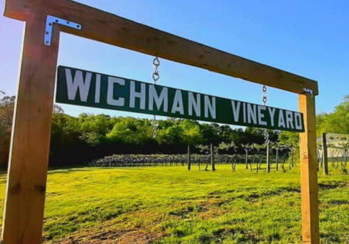 Wichmann Vineyard