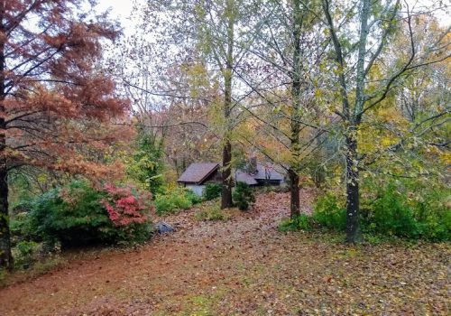 Center for the Lost arts